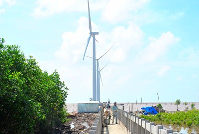 The first ten turbines of the Bac Lieu Wind Power Plant come into operation on May 29, 2013 (Photo: SGGP)